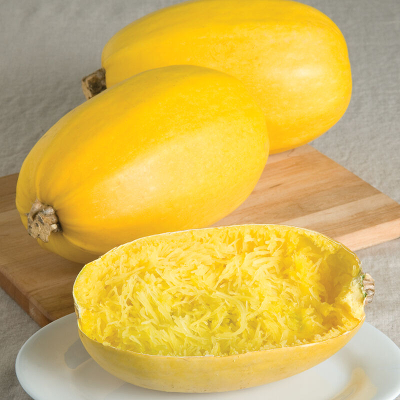 Organic Spaghetti Squash  Seeds * Organically Grown 25 Count *