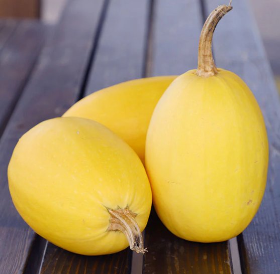 Organic Spaghetti Squash  Seeds * Organically Grown 25 Count *