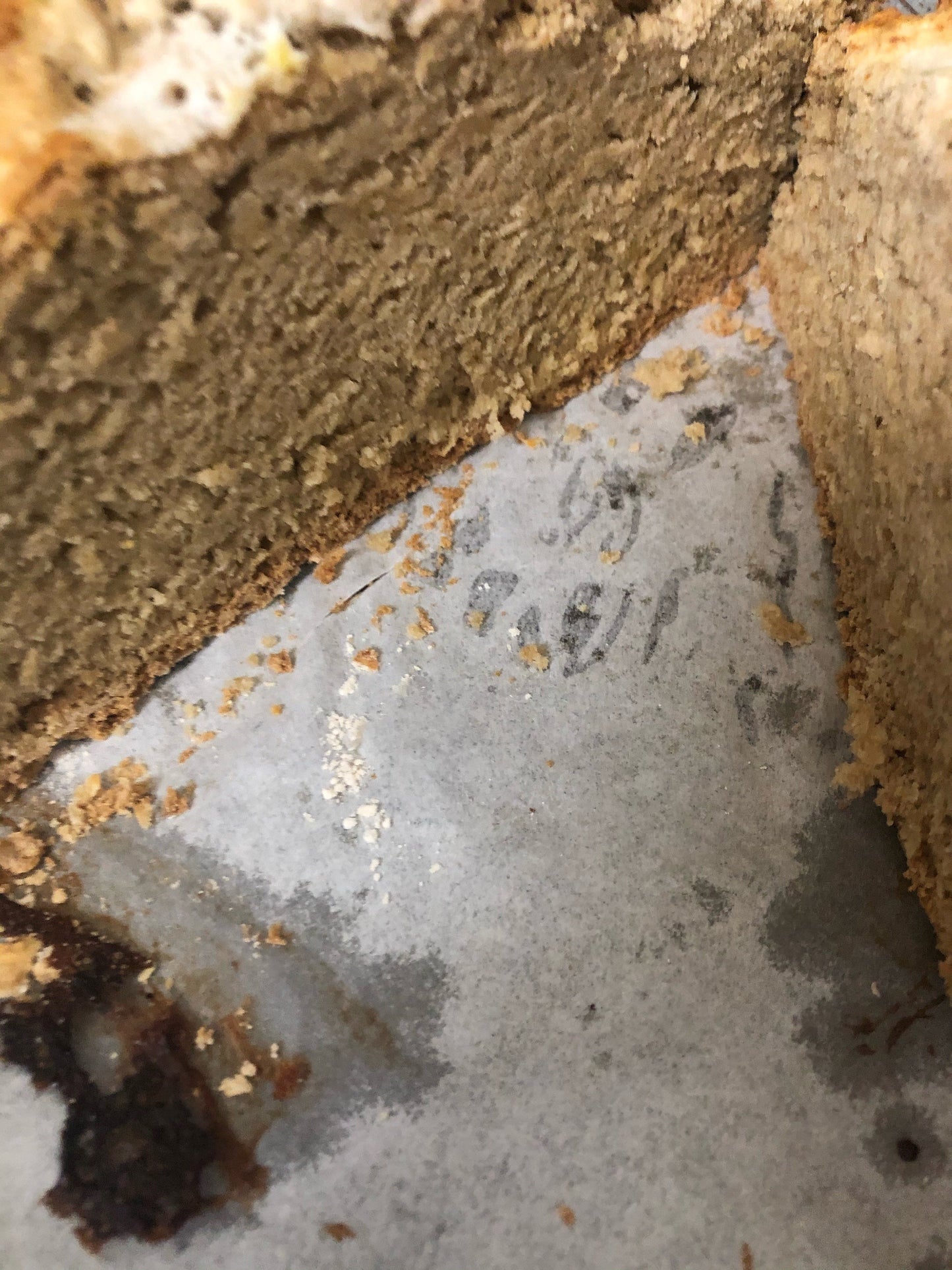 Homemade Irish Stout Soda Bread
