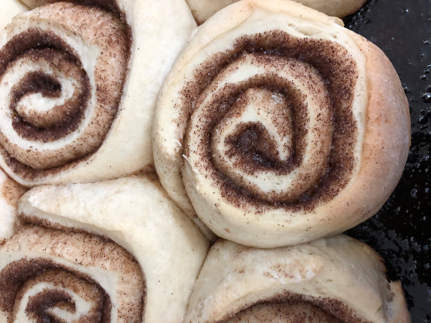 Homemade Jumbo Gooey Cinnamon Buns with choice of Cream Cheese or Butter Cream Frosting