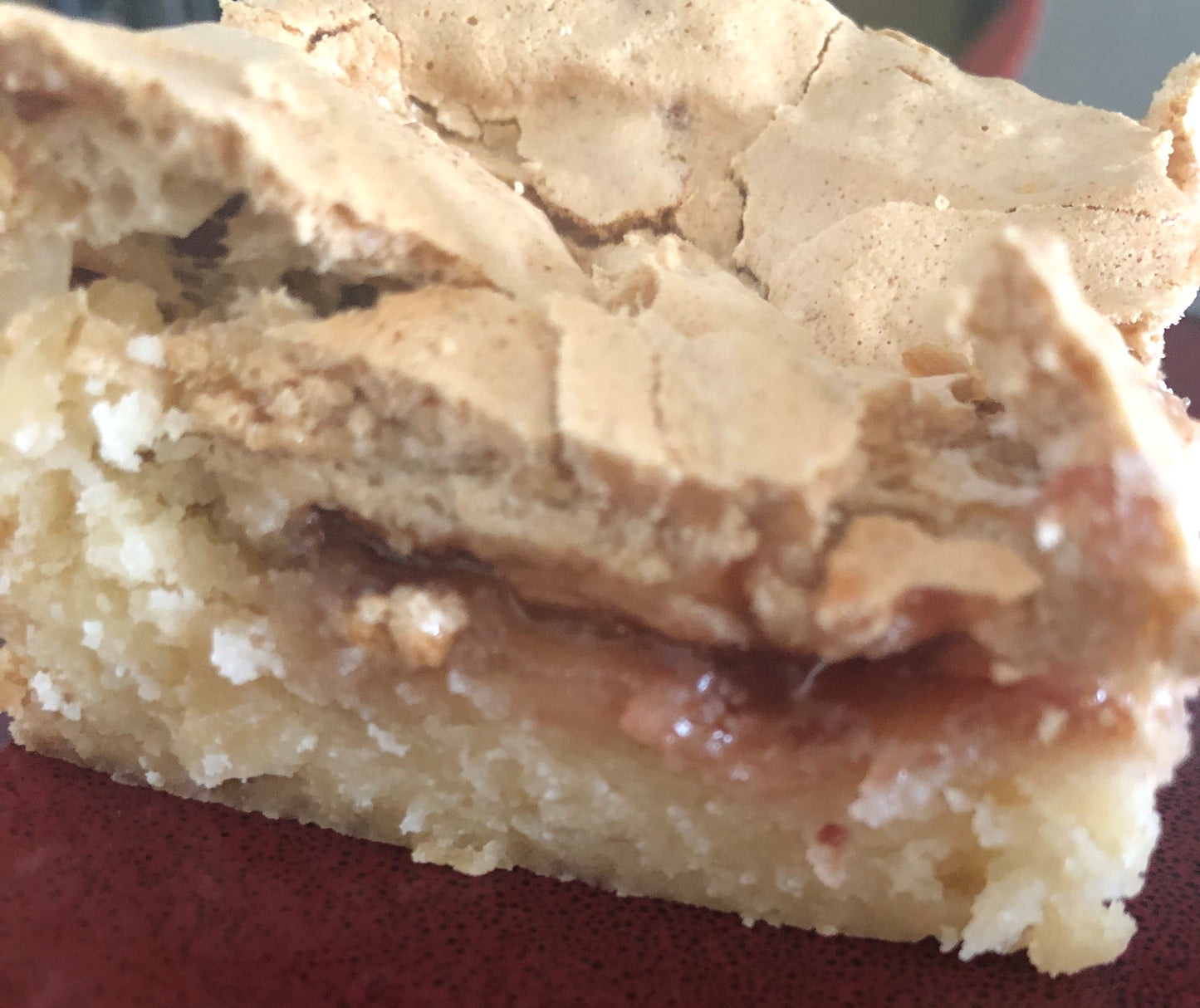 Coconut Jam Bars * Various Filling Options * Made with Organic Ingredients