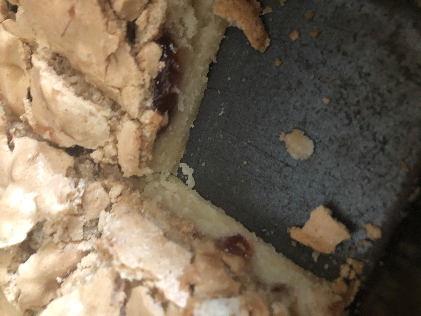 Coconut Jam Bars * Various Filling Options * Made with Organic Ingredients