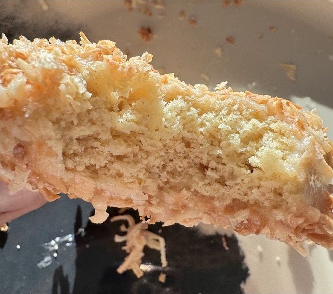 Toasted Coconut Donuts * Toasted Coconut Doughnuts * Made with Organic Ingredients
