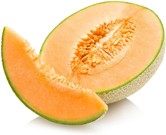 Organic Cantaloupe  Seeds * Organically Grown 50 Count *